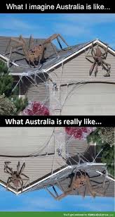 What Australia Is Really Like Funsubstance Funny Pictures Best Funny Pictures Joke Of The Day