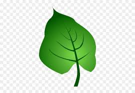 Check spelling or type a new query. Green Leaf By Clipartcotttage Creative Commons Leaf Clip Art Free Transparent Png Clipart Images Download