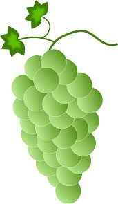 Are you looking for green grapes design images templates psd or png vectors files? I Clipart Grape I Grape Transparent Free For Download On Webstockreview 2021