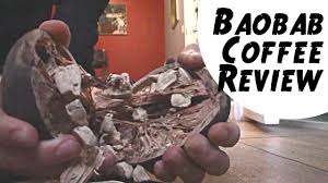 Check spelling or type a new query. Baobab Fruit The Sad Truth Behind Madagascar S Iconic Tree Weird Fruit Explorer 388 Youtube