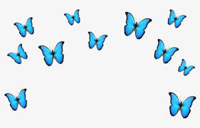 Watercolor colorful butterflies, isolated butterfly on white background. Free Blue Butterfly Clip Art With No Background Clipartkey
