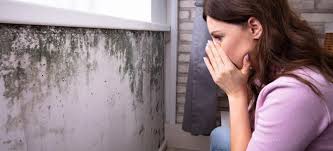 In nature, mold is crucial for rotting and soil enrichment. 8 Causes Of Mold And Mildew In The Kitchen Doityourself Com