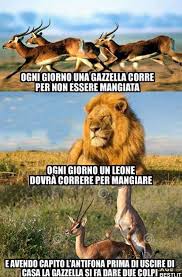 Sa che dovr correre pi del leone o verr uccisa. 15 Fantastiche Immagini Su Gazzella Nel 2021 Besti It