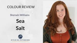 Explore colors, tools and techniques. Paint Colour Review Sherwin Williams Sea Salt Sw 6204 Youtube