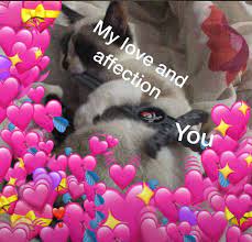 We did not find results for: My Love And Affection Barbara Love Memes Cute Memes Hello My Love