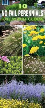 10 Durrevertragliche Ausfallsichere Stauden Fur Niedrigwassergarten Ausfallsichere Durrevertragliche Niedrigwassergarten Stau Diy Garten Ideen Wassergarten Stauden Und Mehrjahrige Pflanzen