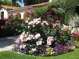 Leigh clapp) growing a climbing rose up an obelisk is a brilliant way to bring height to mixed borders. Small Rose Garden Rose Garden Design Small Flower Gardens Garden Flower Beds