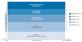A partial scholarship to a boys' prep school. Comparative Indicators Of Education In The United States And Other G 20 Countries 2015 The Education System In Brazil