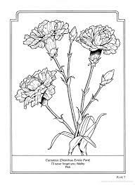 Check spelling or type a new query. The Language Of Flowers Coloring Book In 2020 Language Of Flowers Coloring Books Holiday Coloring Book