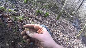 The best treasure hunting metal detector for finding a cache of. Metal Detecting Crazy Live My Best Find U K Roman Gold Coin With Xp Deus Music By Synaulia Youtube