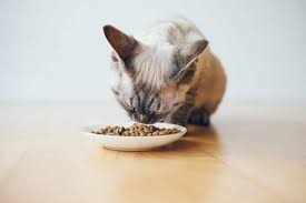 We're on a mission to transform may you enjoy the day with your family and don't forget to try our limited ingredient turkey for your instinct pet food is now available at superpets outlets! The 25 Best Limited Ingredient Cat Food Of 2020 Cat Life Today