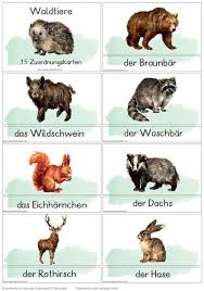 Rätselhafte tierspuren im schnee erkennen. Zaubereinmaleins Designblog Wald Grundschule Zaubereinmaleins Tiere