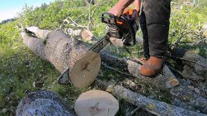 They have cheaper prices than anywhere i know of, you can check it out here, echo cs 590. The Result After Long Term Testing Stihl Ms 500i Forestry Com