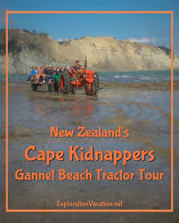 fun for everyone on a cape kidnappers gannet beach tractor tour cape kidnappers tours beach