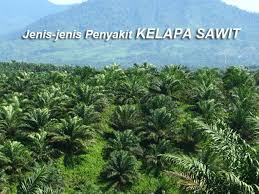 Penyakit garis kuning pada daun. 6 Jenis Penyakit Berbahaya Tanaman Kelapa Sawit Dan Cara Pengendaliannya Berita Pertanian Mitalom