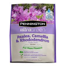 Azalea Camellia Rhododendron Plant Food 10 8 6 Pennington Rhododendron Plant Plant Food Azaleas