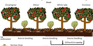 We did not find results for: Tree Planting Recap 2019 Permaculture Design Course Handbook