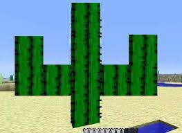 All plants can grow indoors if they have sufficient light and room to grow. Cactus Based On The Prickly Pear Minecraft Feedback