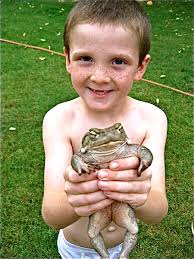 Tibicos aren't Typical