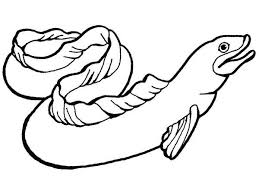 Sea Animals Moray Eel Slippery Sea Animals Coloring Page Animal Coloring Pages Ocean Coloring Pages Zoo Animal Coloring Pages