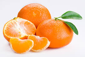 Image result for Citrus reticulata