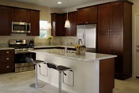 Domain Cabinets Direct Inc Stock Espresso Shaker Cocinas