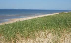 Lesen sie die aktuelle wassertemperatur für hoorn auf wetter.de 10 Best Egmond Aan Zee Hotels Netherlands From 86