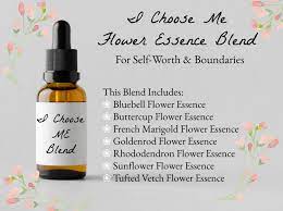Goldenrod Flower Essence Best Flower Wallpaper