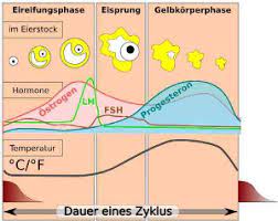 Zwar scheint die schwangerschaft zunächst noch irreal, das baby wird aber schon sehr bald durch die nabelschnur mit dir verbunden sein und ist darauf angewiesen, dass 2. Die Beste Methode Zum Schnell Schwanger Werden