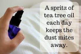 12 Guaranteed Ways To Get Rid Of Dust Mites In Your House Dust Mites Tea Tree Oil Mites