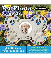 Mosaic Stepping Stone Kit Pet Photo Joann Mosaic Stepping Stone Stepping Stone Kits Stones Diy