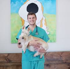 Looking for veterinary care & boarding in slidell, la? Slidell Splash Page Pet Care Center