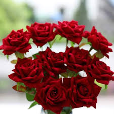 12 Rosas Artificiales De Terciopelo De Floweroyal Con Forma