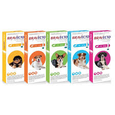 Is there a flea shot for dogs. Bravecto Spot On Dog Tick And Flea Treatment Box Of 1 Vial Knysna Veterinary Clinic