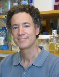 induced Pluripotent Stem cells