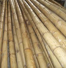 Need Cheap Bamboo Poles Bamboo Poles For Sale Bamboo Poles Bamboo