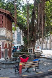 Horniman Circle Gardens | The Horniman ...