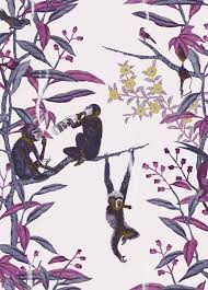 Use images for your pc, laptop or phone. Monkey Wallpaper For Walls 650x908 Download Hd Wallpaper Wallpapertip