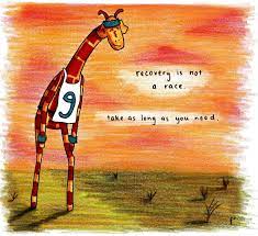 Pin On Giraffes