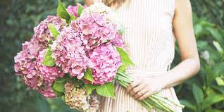Hydrangea flowers bloom in a variety of different formations. Hydrangea Meaning Symbolism History Proflowers