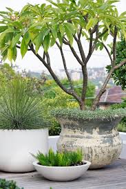 Coastal Front Garden Design Front Garden Design Sydney Gardens Coastal Gardens