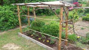 Alternativ kannst du auch ein. Dach Fur Tomaten Bauen