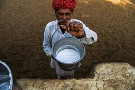 If you live in the middle east, parts of africa, china, russia, or northern parts of the indian subcontinent, fresh camel milk is easily @lookingforacure, i asked the same question when i was in saudi arabia last year and the answer given was fresh camel milk is better. India Milks A Profit In Quest To Bump Camel Numbers Arab News