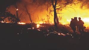 Tout l'univers de votre radio : Vaucluse Les Pompiers Ont Toujours Le Feu Sacre Actualite