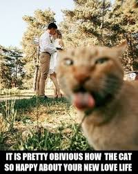 Funny Animal Memes For You To Laugh Loud 21 Pics Page 4 Of 4 Awed Owl Funny Animals Funny Animal Memes Cats