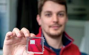 Blaulicht 4/2019 by IV Group