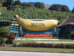 12 Buildings That Look Like Food The Good Place Coffs Harbour Ecotourism