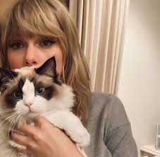 National Cat Lady Day April 19th