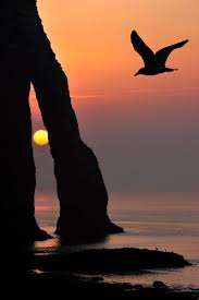 Gyclli Beautiful Sunset Beautiful Sunrise Nature Pictures