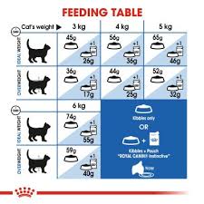 royal canin indoor cat